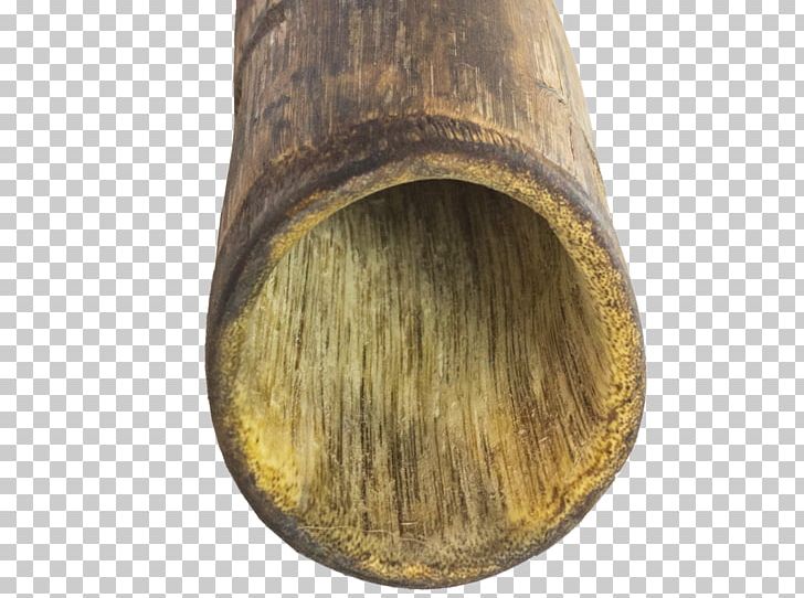 Wood /m/083vt PNG, Clipart, Didgeridoo, M083vt, Nature, Wood Free PNG Download