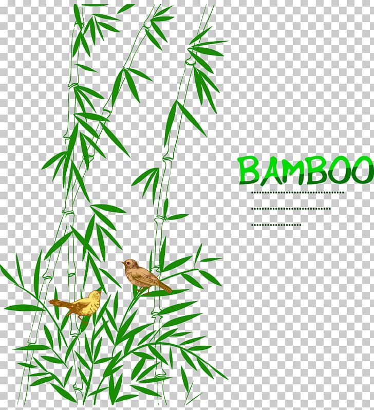 Bamboo Bird Drawing Trees PNG, Clipart, Area, Bamboe, Bamboo Vector, Bird Cage, Bird Vector Free PNG Download