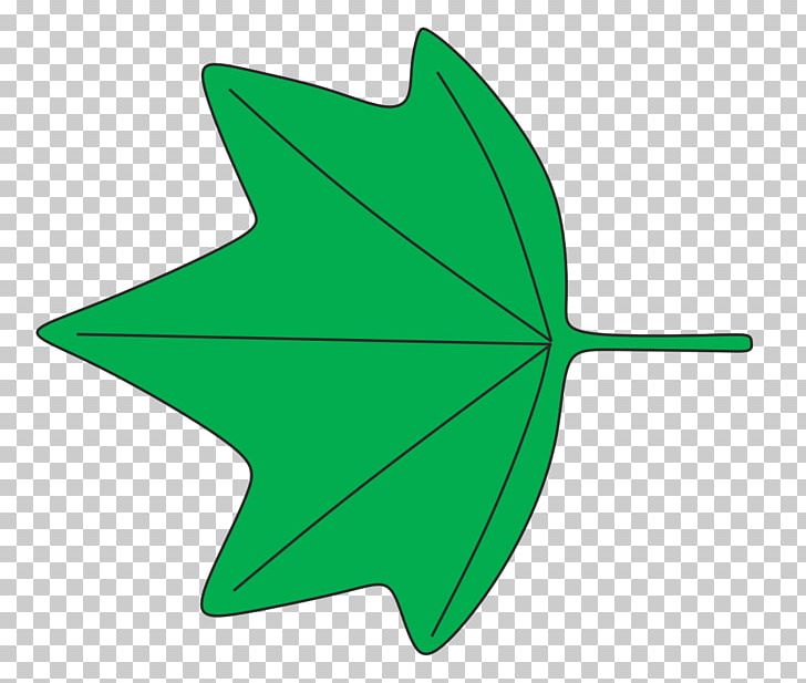 Leaf Shape 葉縁 Plant Identification Wikipedia PNG, Clipart, Acer Campestre, Angle, Flowering Plant, Green, Identification Free PNG Download