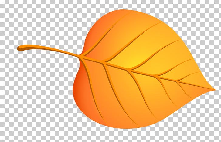 Maple Leaf Birch Autumn PNG, Clipart, Autumn, Birch, Deciduous, Digital Image, Food Free PNG Download