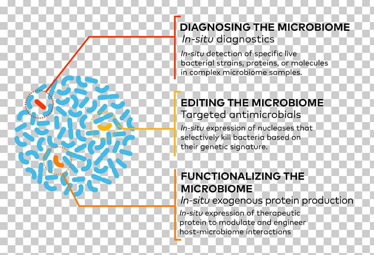 The Clever Guts Diet Paperback Text English PNG, Clipart, Angle, Area, Brand, Conflagration, Diagram Free PNG Download