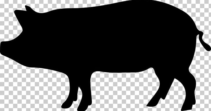 Wild Boar PNG, Clipart, Animal, Black, Black And White, Cattle Like Mammal, Computer Icons Free PNG Download