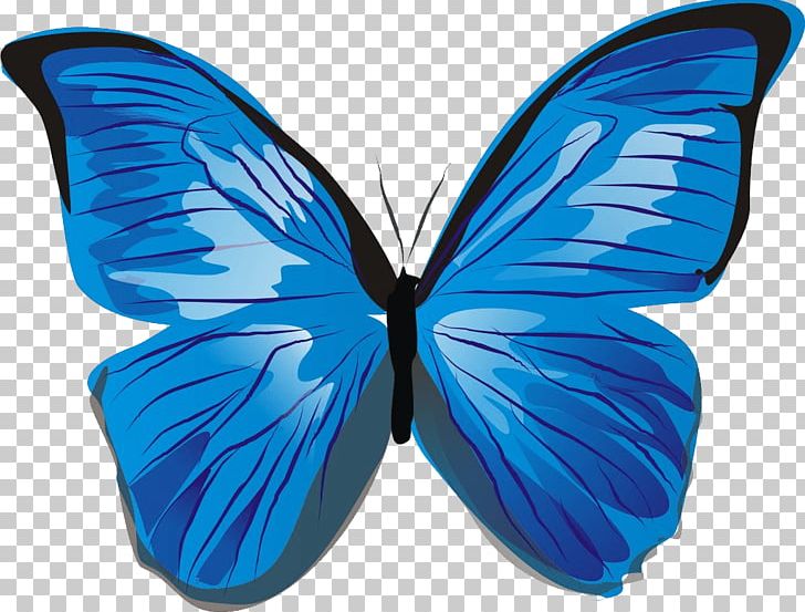 Butterfly Illustration PNG, Clipart, Arthropod, Backpacking, Blue, Brush Footed Butterfly, Butterflies And Moths Free PNG Download