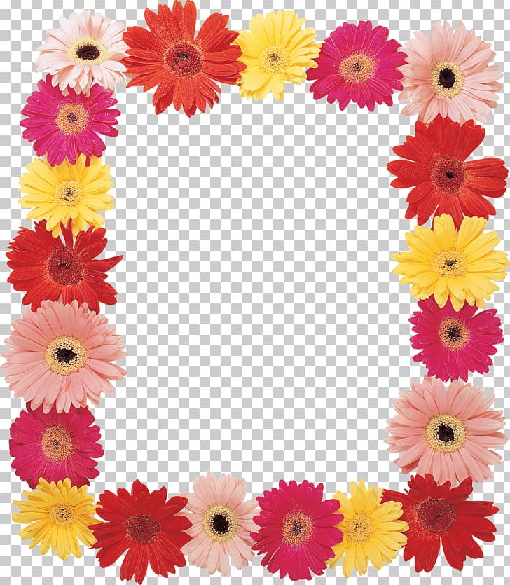 Frames Flower Transvaal Daisy Digital Photo Frame PNG, Clipart, Chrysanths, Cut Flowers, Daisy Family, Digital Photo Frame, Digital Scrapbooking Free PNG Download