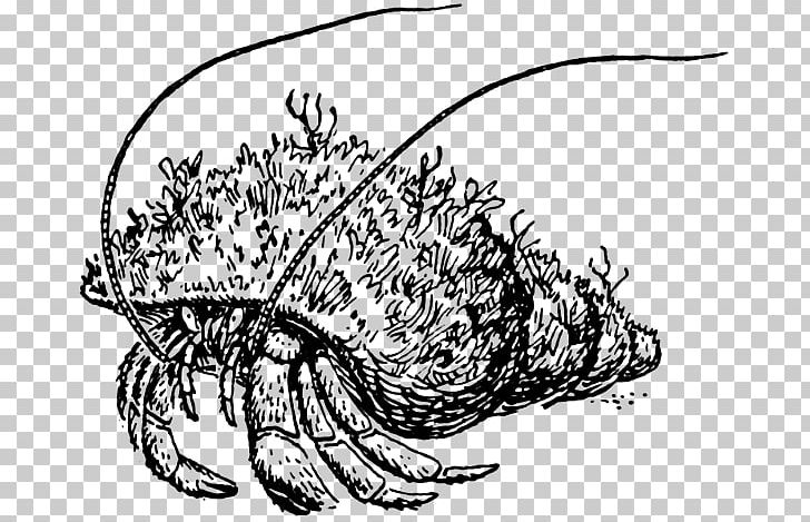 Hermit Crab Coloring Book Red King Crab PNG, Clipart, Animal, Animals, Art, Artwork, Black And White Free PNG Download