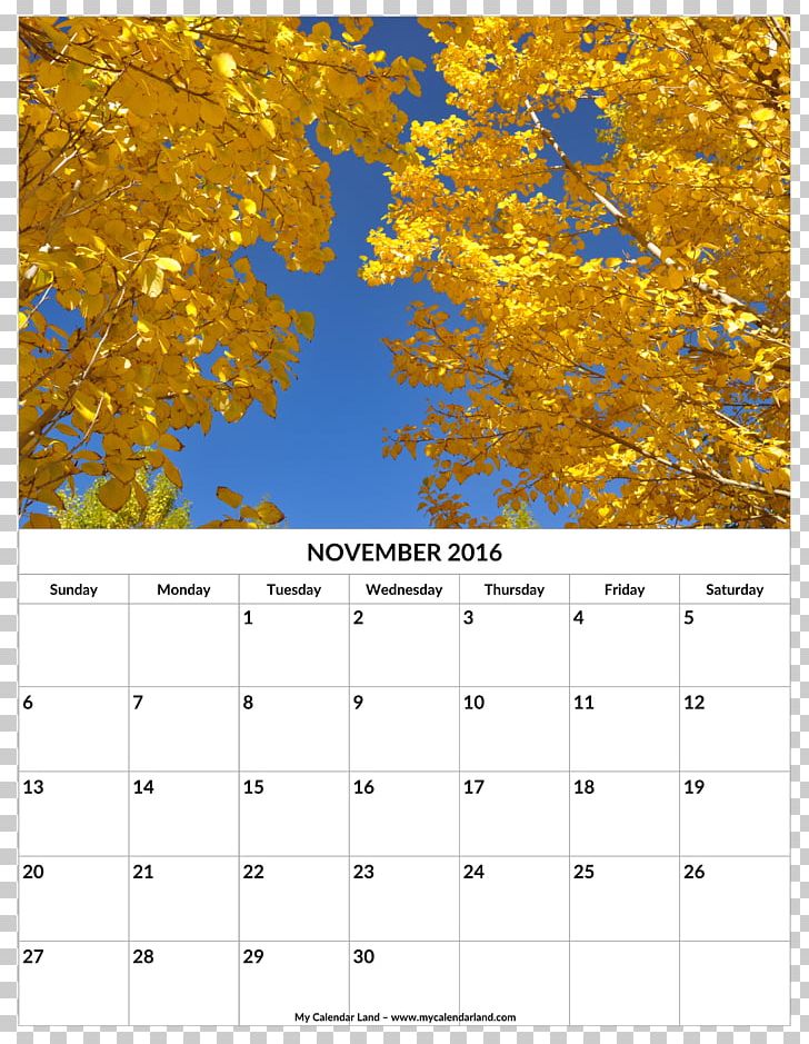 Leaf Autumn Yellow Calendar Deciduous PNG, Clipart, Autumn, Branch, Calendar, Color, Deciduous Free PNG Download