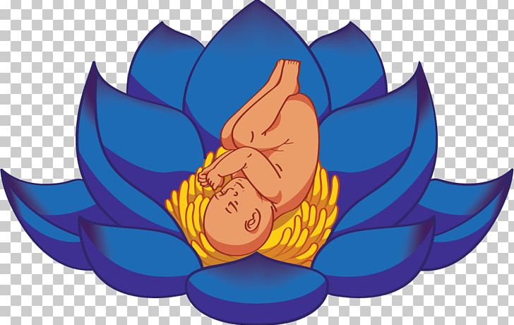 Doula Childbirth Woman Nelumbo Nucifera Egyptian Lotus PNG, Clipart, Art, Blue, Childbirth, Cost, Cost Of Living Free PNG Download