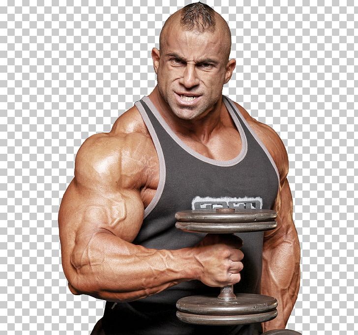 Fouad Abiad Dietary Supplement Bodybuilding Supplement Muscle PNG, Clipart, Abdomen, Amino Acid, Arm, Biceps, Biceps Curl Free PNG Download