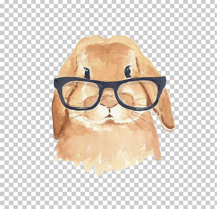 Holland Lop The Rhyming Rabbit Hipster PNG, Clipart, Animal, Animals, Art, Cartoon, Cartoon Rabbit Free PNG Download