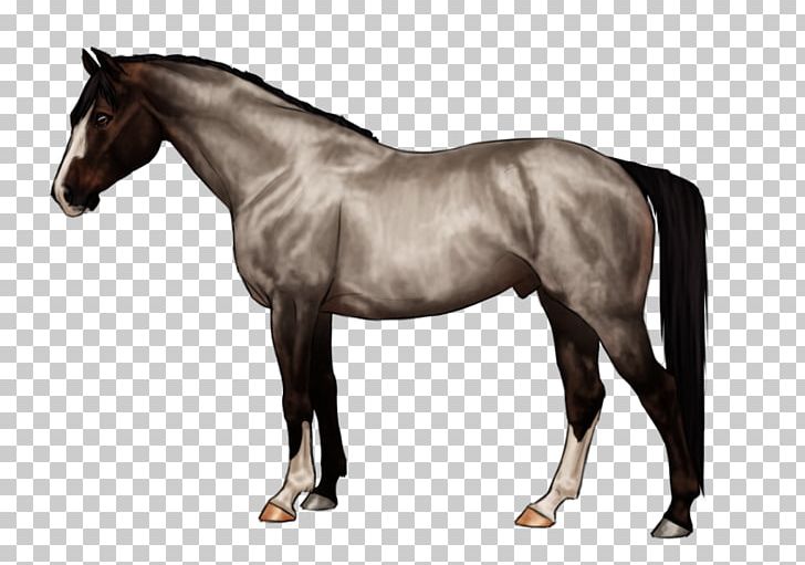 Mane Mustang Stallion Mare Pony PNG, Clipart, Bridle, Colt, Dog Harness, English Riding, Equestrian Free PNG Download