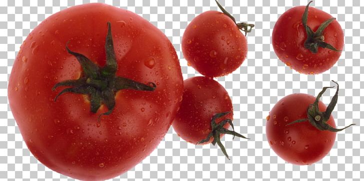 Plum Tomato Bush Tomato Tomato Soup Food PNG, Clipart, Acerola, Food, Fruit, Natural Foods, Nightshade Family Free PNG Download