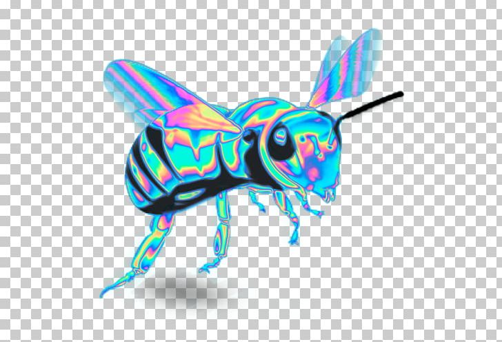 Western Honey Bee Insect Butterfly Pollinator PNG, Clipart, Art, Arthropod, Bee, Beehive, Bug Free PNG Download