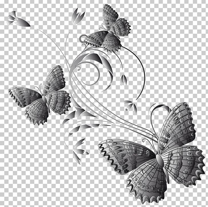 Butterfly Insect Euploea Mulciber Tajuria Cippus PNG, Clipart, Bienvenue, Black And White, Bon Appetit, Butterflies And Moths, Butterfly Free PNG Download