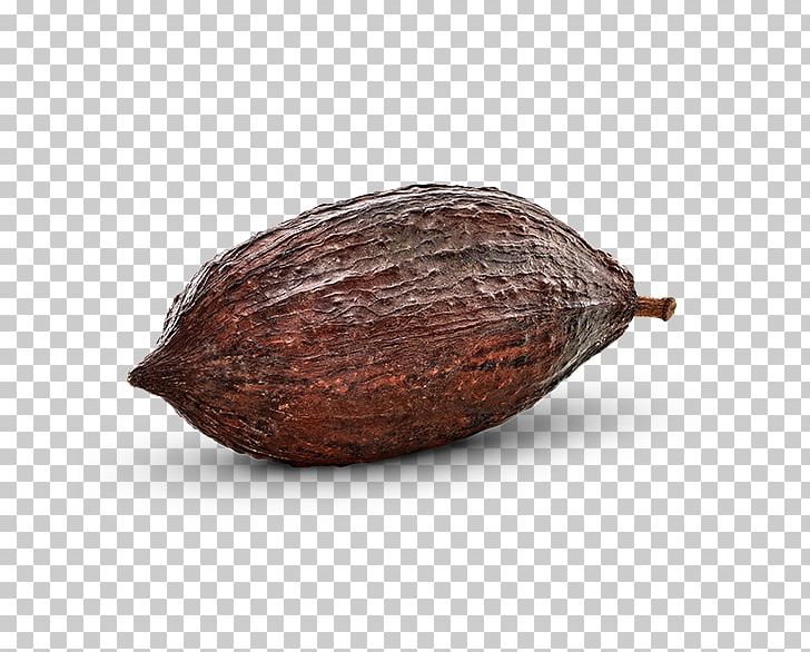Cocoa Bean Commodity Cacao Tree PNG, Clipart, Cacao Tree, Cocoa Bean, Commodity, Ingredient, Kakao Free PNG Download