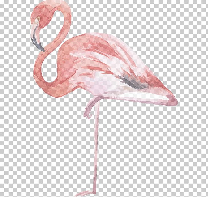 Flamingo Graphics Bird Pink Illustration PNG, Clipart, Animals, Art, Beak, Bird, Flamingo Free PNG Download