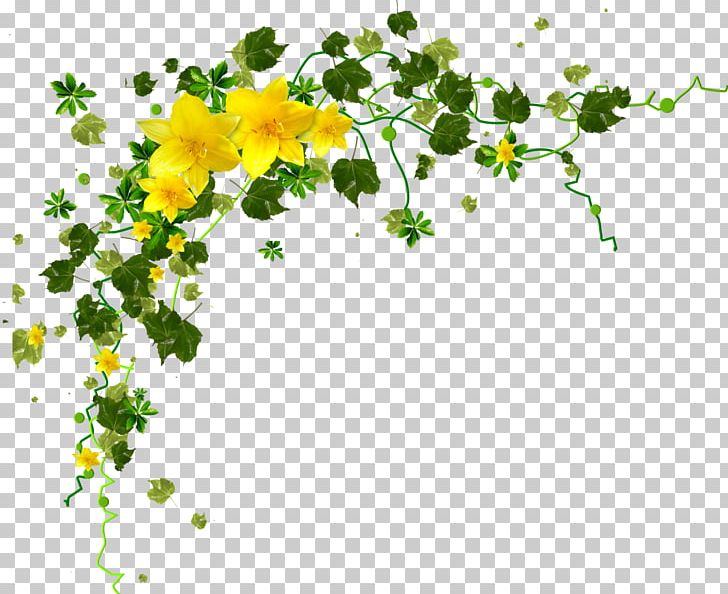 Flower Yellow Petal PNG, Clipart, Branch, Clip Art, Collage, Color, Drawing Free PNG Download
