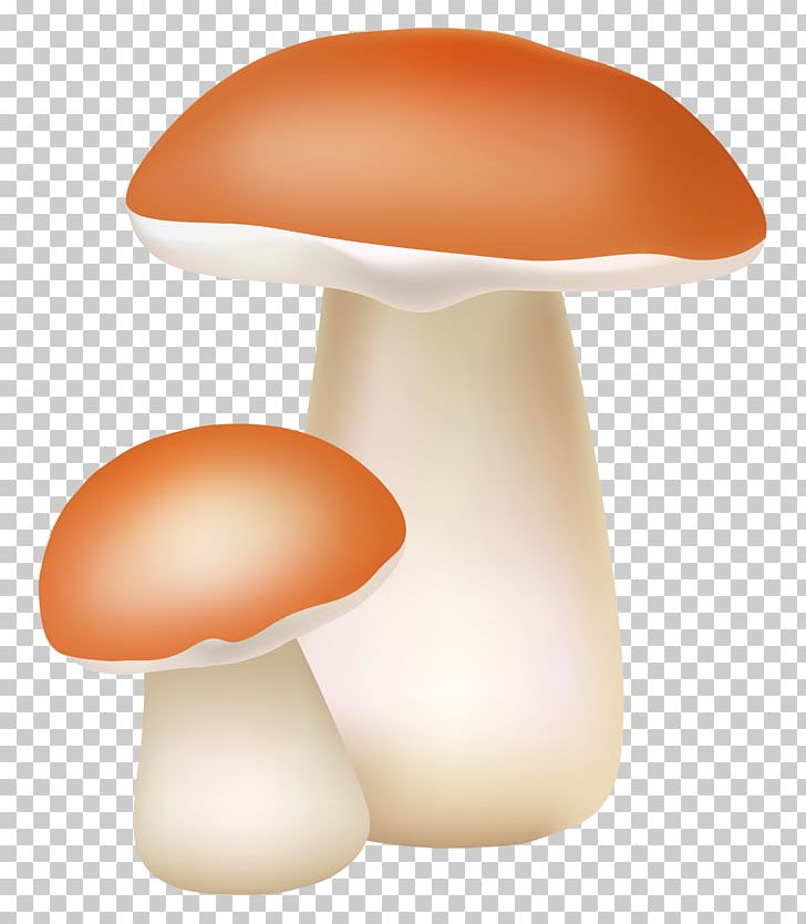 Light Mushroom PNG, Clipart, Agaricus Arvensis, Computer Icons, Light, Lighting, Mushroom Free PNG Download