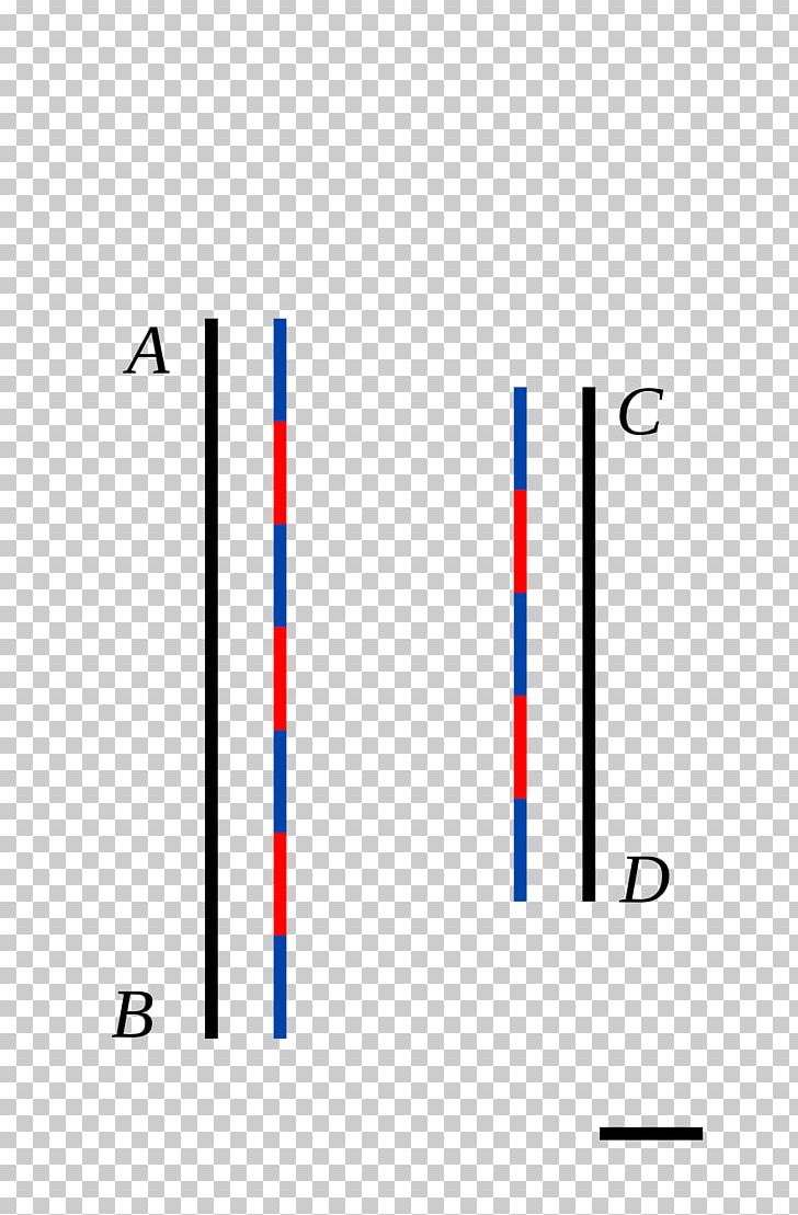 Line Segment Commensurability Dielo Public Domain Wikimedia Commons PNG, Clipart, 2017, Algebra Pictures, Angle, Area, Copyright Free PNG Download
