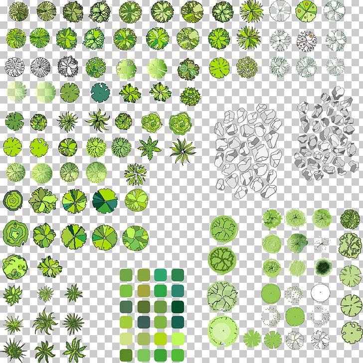Paper Tree Scrapbooking Drawing PNG, Clipart, Arborvitae, Area, Art, Circle, Color Free PNG Download