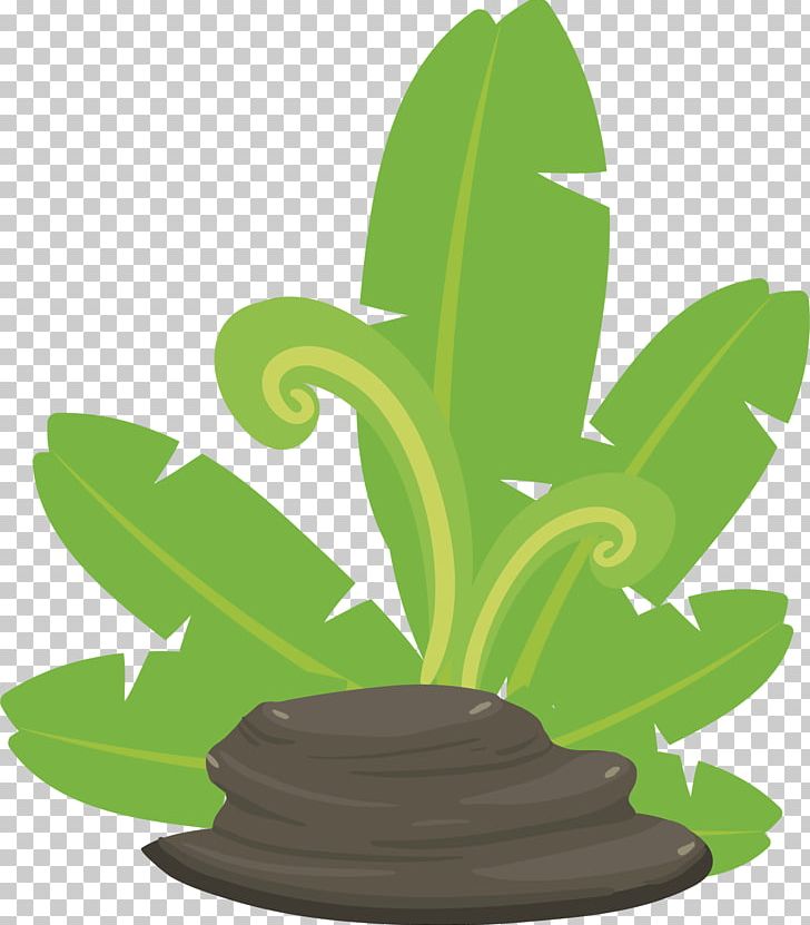Green Leaf PNG, Clipart, Animation, Banana, Banana Leaf, Cactus, Cartoon Free PNG Download