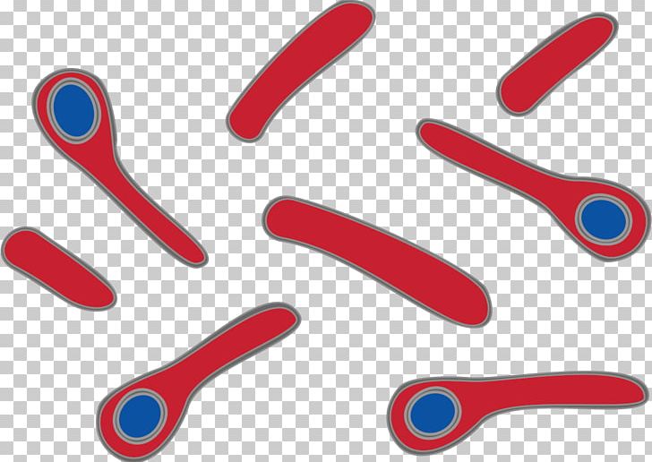 Clostridium Tetani Tetanus Bacterial Cell Structure Virus PNG, Clipart, Antibody, Antigen, Bacillus, Bacteria, Bacterial Cell Structure Free PNG Download