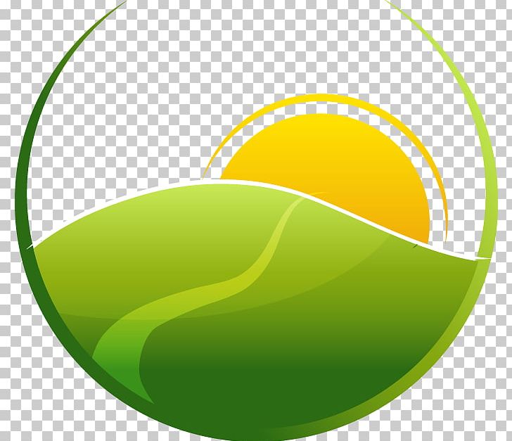 Icon PNG, Clipart, Background Green, Ball, Circle, Computer Wallpaper, Designer Free PNG Download