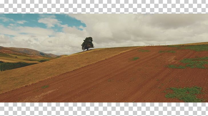 Steppe Painting Grassland Ecoregion Reconfigurable Optical Add-drop Multiplexer PNG, Clipart, Art, Cloud, Ecoregion, Ecosystem, Field Free PNG Download