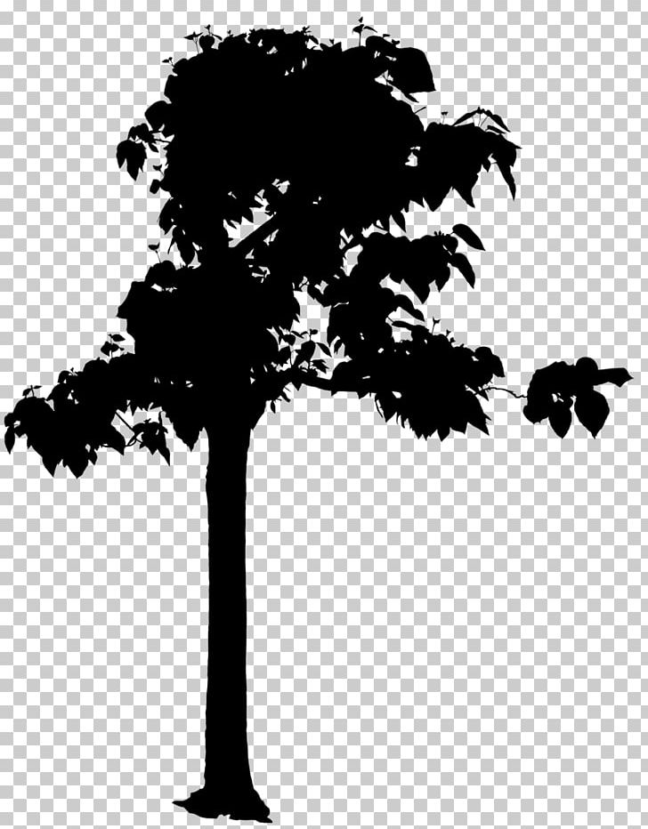 Tree Photography Drawing PNG, Clipart, Black And White, Branch, Custom Home, Drawing, Flower Free PNG Download