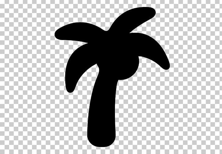 Computer Icons Coconut Arecaceae PNG, Clipart, Arecaceae, Black And White, Coconut, Computer Icons, Download Free PNG Download