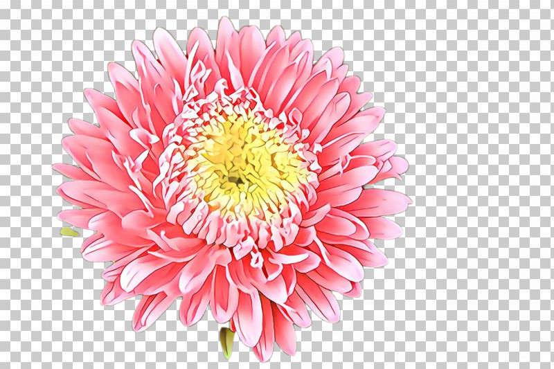 Flower Petal Gerbera Pink Plant PNG, Clipart, Barberton Daisy, China Aster, Cut Flowers, Flower, Gerbera Free PNG Download
