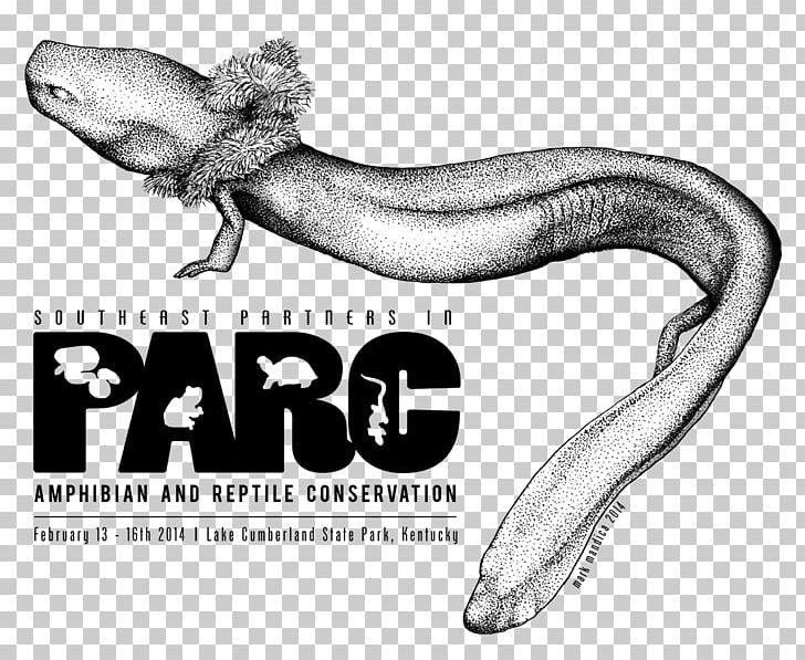 Graphic Design Vertebrate PNG, Clipart, Amphibian, Animal, Animals, Art, Black And White Free PNG Download