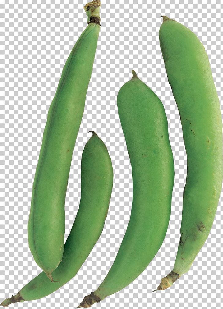 Pea Legume Common Bean Food Lima Bean PNG, Clipart, Banana, Bean, Black Beans, Broad Bean, Commodity Free PNG Download