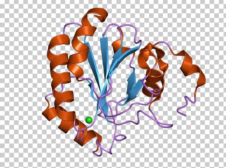 Glutathione Peroxidase Selenocysteine GPX4 PNG, Clipart, Crystal, Crystal Structure, Cysteine, Enzyme, Glutathione Free PNG Download