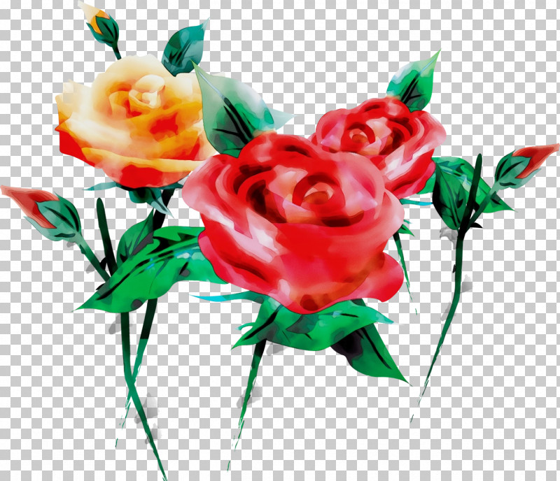 Garden Roses PNG, Clipart, Artificial Flower, Bouquet, Cut Flowers, Flower, Garden Roses Free PNG Download