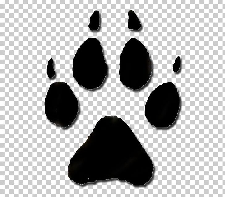 Animal Track Raccoon Footprint PNG, Clipart, Animal, Animals, Animal Track, Baloo, Bear Free PNG Download
