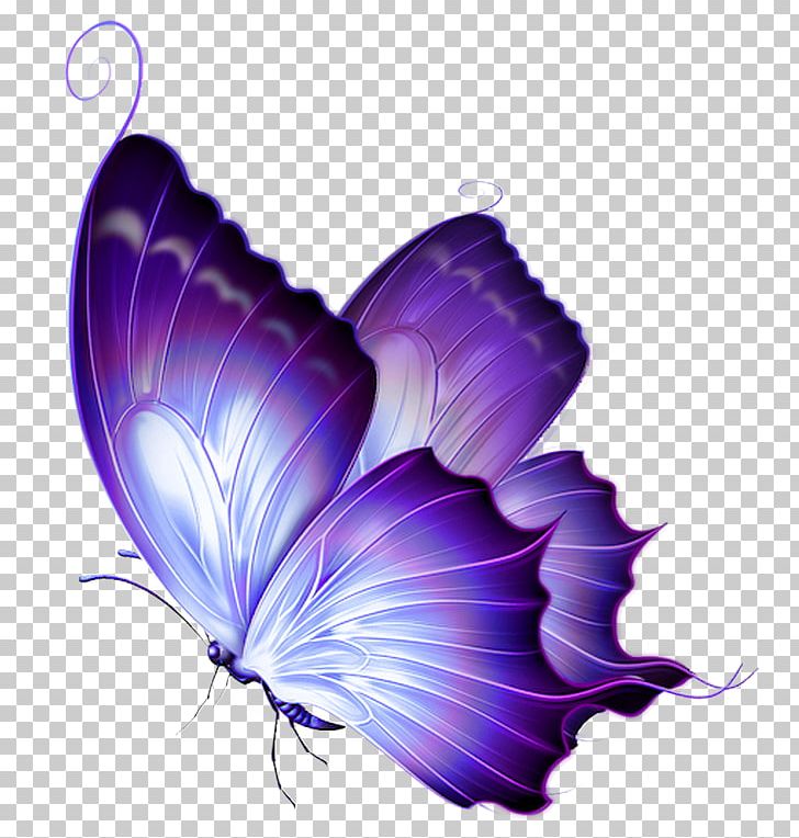 Butterfly Papillon Dog Color PNG, Clipart, Blue, Butterflies And Moths, Butterfly, Clip Art, Color Free PNG Download