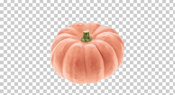 Gourd Pumpkin Pie Winter Squash Cucurbita PNG, Clipart, Calabaza, Carving, Cinderella, Commodity, Cucumber Gourd And Melon Family Free PNG Download