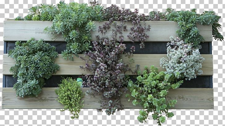 Green Wall Garden Flowerpot CaixaForum Madrid PNG, Clipart, Bertikal, Crock, Evergreen, Flower, Flowerpot Free PNG Download