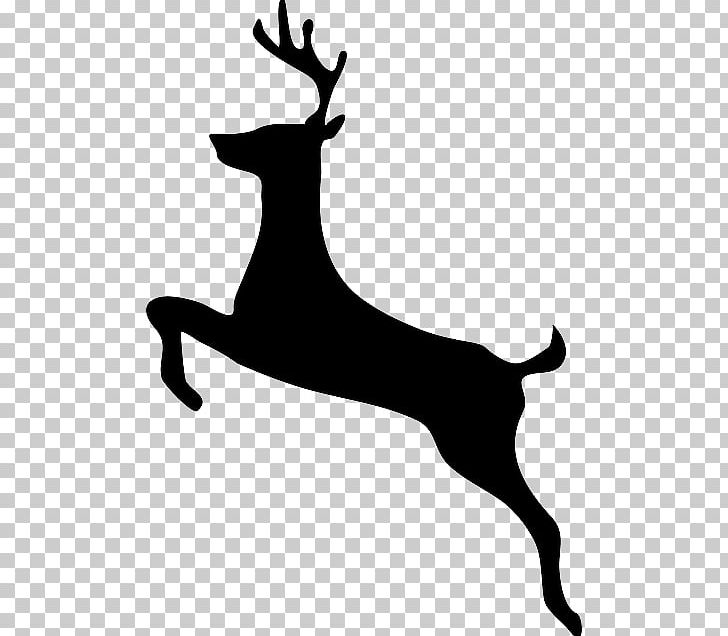 Reindeer Graphics White-tailed Deer PNG, Clipart, Antler, Black And White, Deer, Deer Hunting, Drawing Free PNG Download