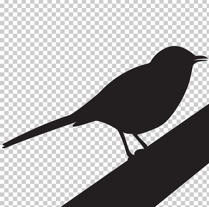 To Kill A Mockingbird Portable Network Graphics PNG, Clipart, All About Birds, Beak, Bird, Black And White, Branch Free PNG Download