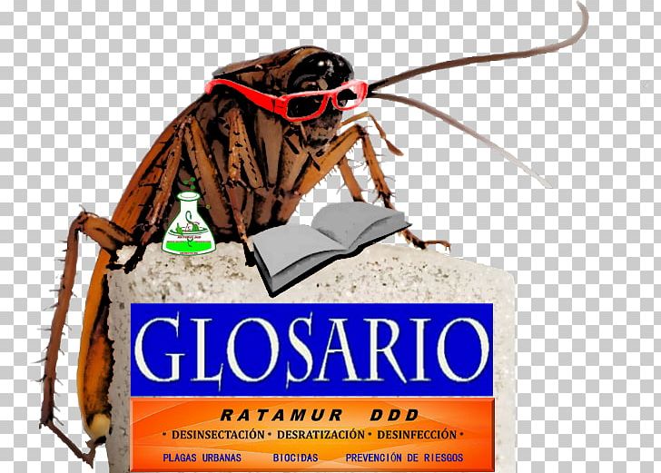 Cockroach Boric Acid Acari Beetle Spider PNG, Clipart, Acari, Advertising, Animals, Arachnid, Beetle Free PNG Download