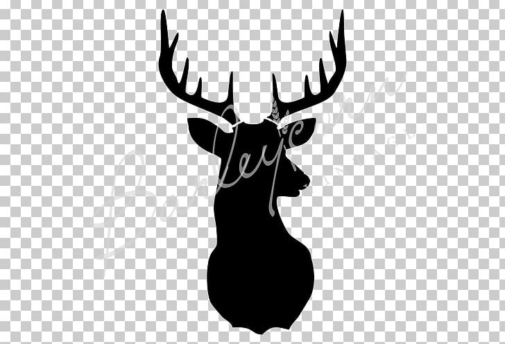 Deer Silhouette Moose Stencil Photography PNG, Clipart, Animals, Antler, Black, Black And White, Cartoon Free PNG Download