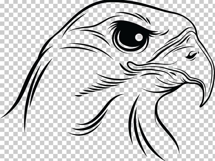 Drawing Black And White Photography PNG, Clipart, Agents Of Shield, Art, Artwork, Beak, Bird Free PNG Download