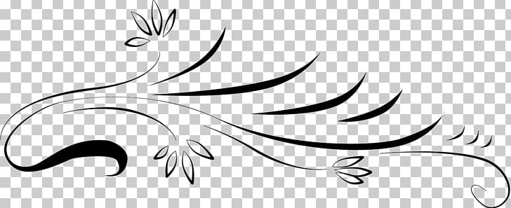 Line Art Plant Stem Leaf Flower PNG, Clipart, Area, Artwork, Autumn Leaf, Beak, Black Free PNG Download