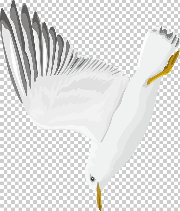 Swan Goose PNG, Clipart, Adobe Illustrator, Animals, Bird, Christmas Decoration, Decor Free PNG Download