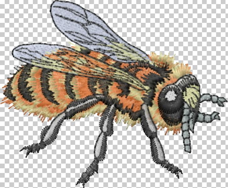 Honey Bee Beekeeping Information Machine Embroidery PNG, Clipart, Arthropod, Association, Bee, Beekeeper, Beekeeping Free PNG Download