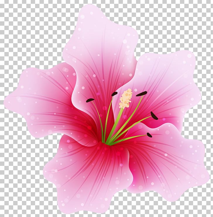 Pink Flowers PNG, Clipart, Art, Clip Art, Clipart, Closeup, Color Free PNG Download