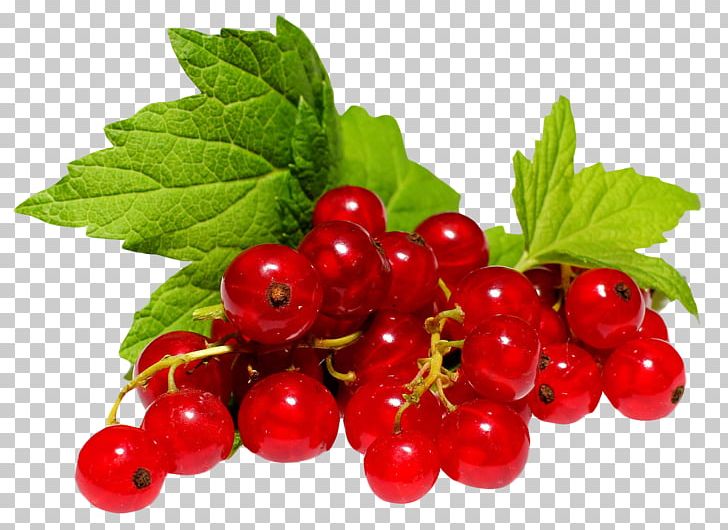 Redcurrant Frutti Di Bosco Blackcurrant White Currant Gooseberry PNG, Clipart, Berries, Berry, Blackcurrant, Bosco, Cherry Free PNG Download