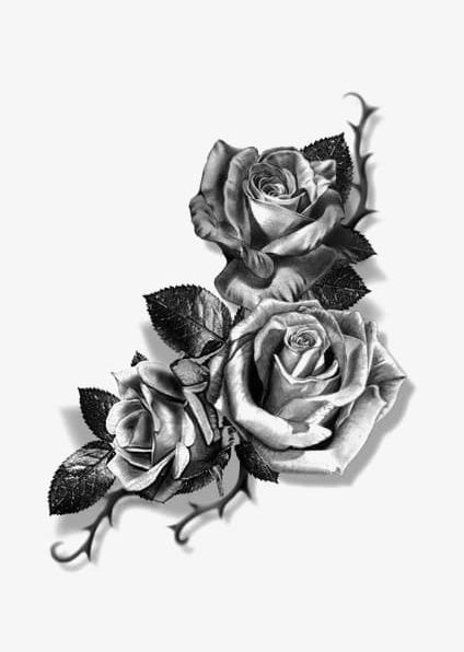 Rose Sketch PNG, Clipart, Animal, Black, Black Rose, Creative, Creative Flowers Free PNG Download