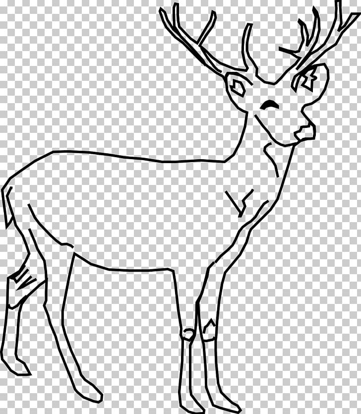 White-tailed Deer Red Deer Drawing PNG, Clipart, Animal, Animal Figure, Animals, Antler, Black And White Free PNG Download